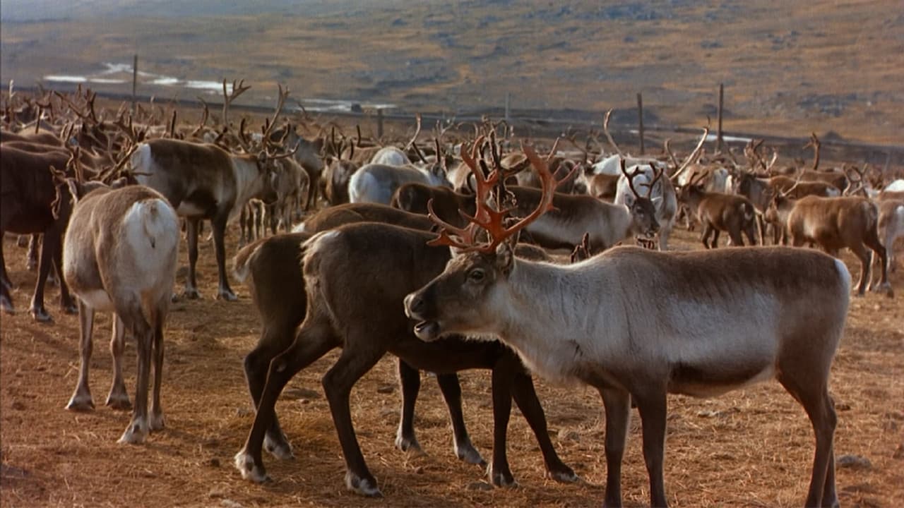 Backdrop – Die Geheimnisse des Nordens