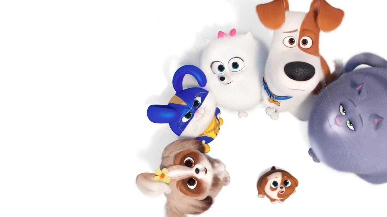 Backdrop – Pets 2