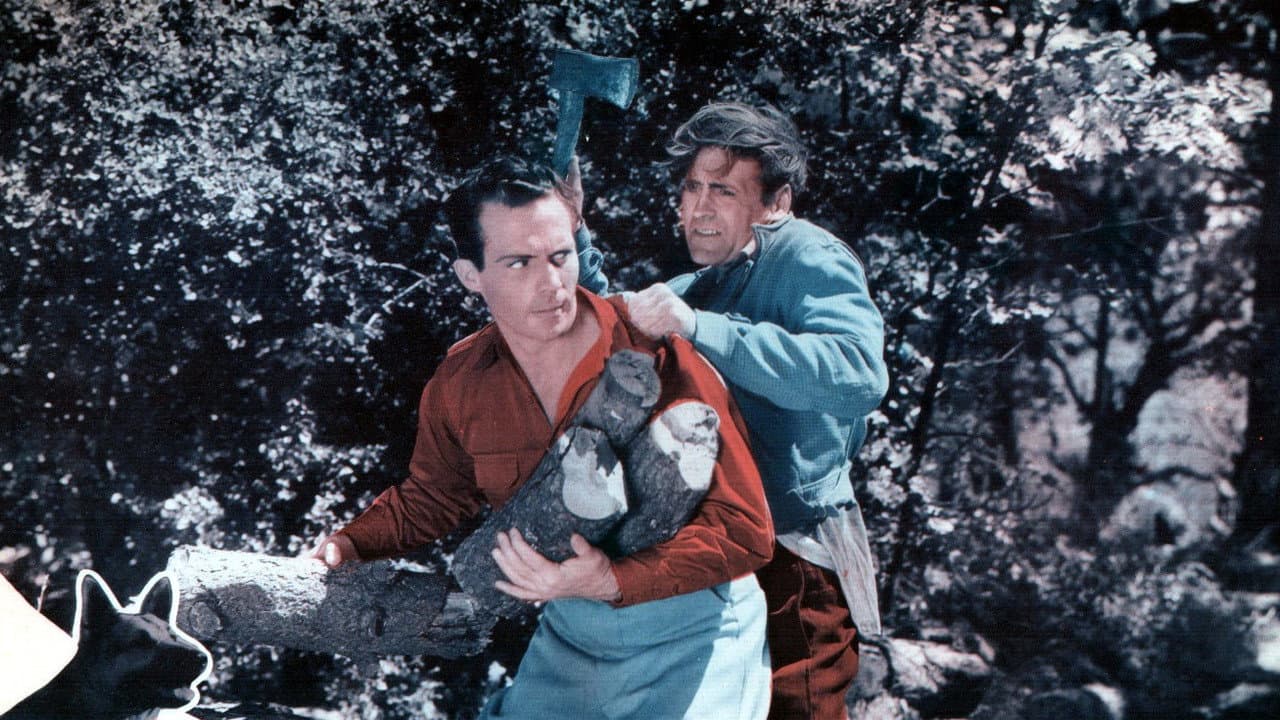 Backdrop – Rin Tin Tin