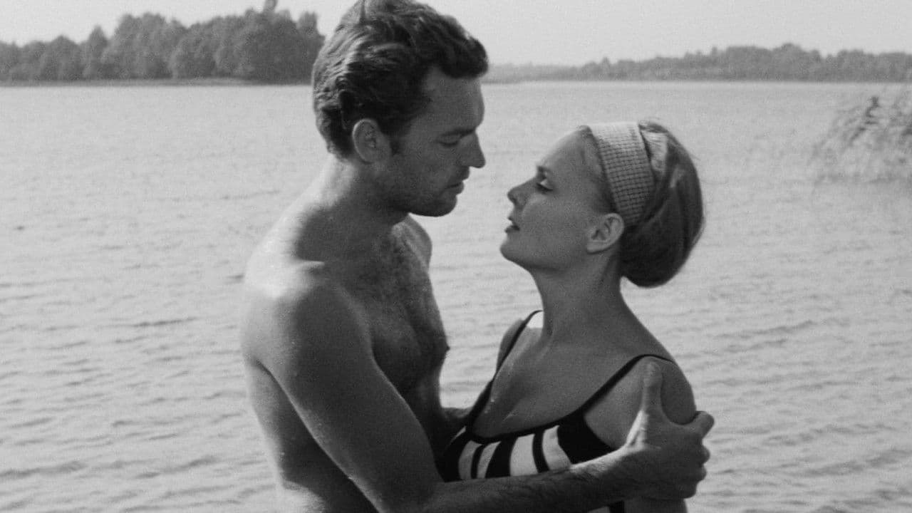 Backdrop – Suaugusių žmonių žaidimai