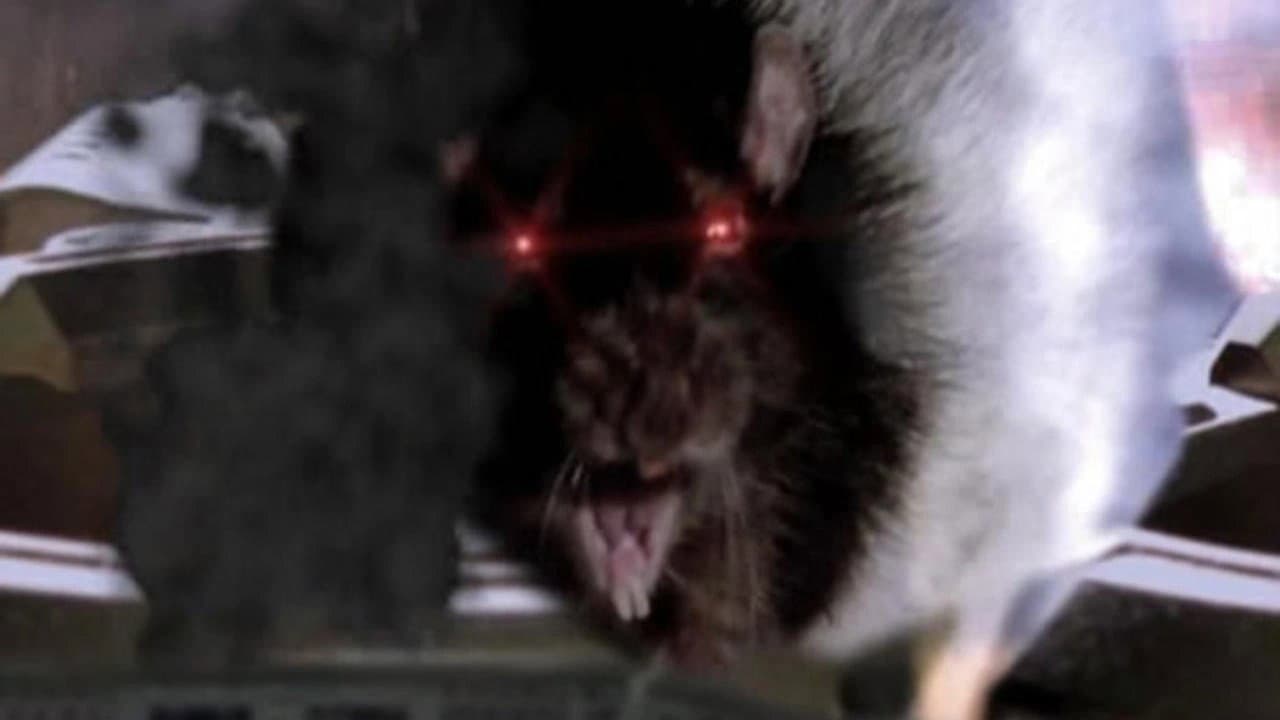 Backdrop – Rat Scratch Fever