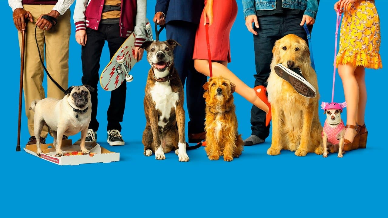 Backdrop – Dog Days