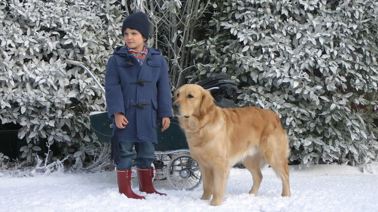 Backdrop – After Thomas