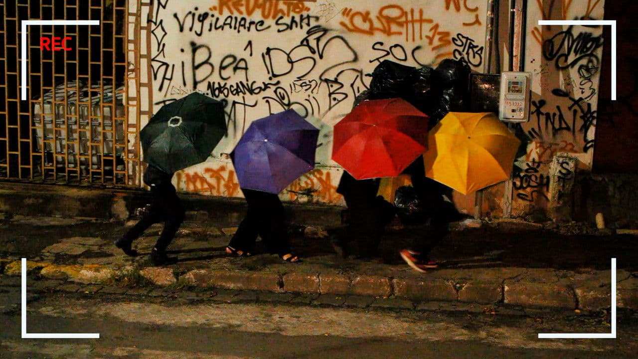 Backdrop – Salada de Furtos: Os Quatro Delinquentes