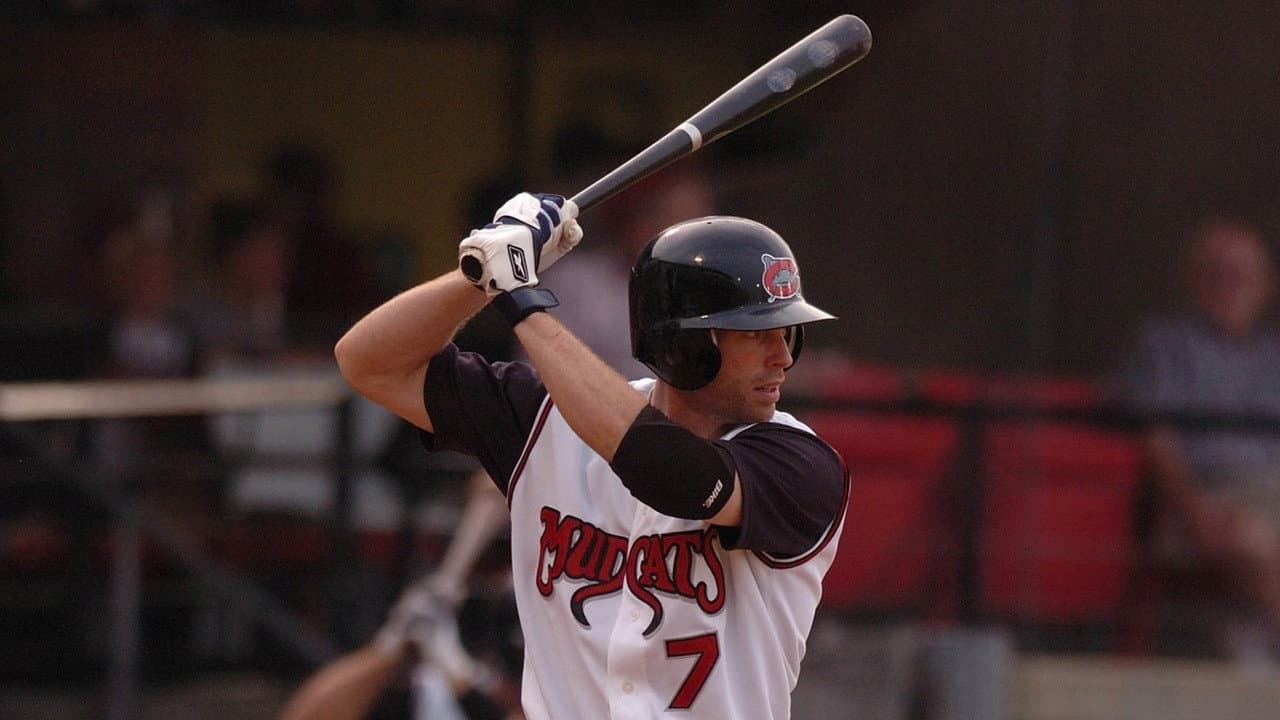 Backdrop – Time in the Minors