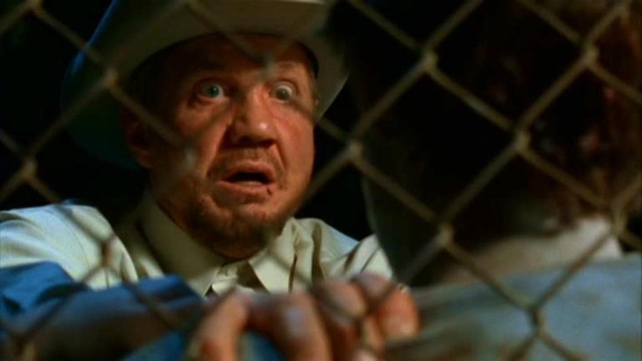 Backdrop – Driftwood