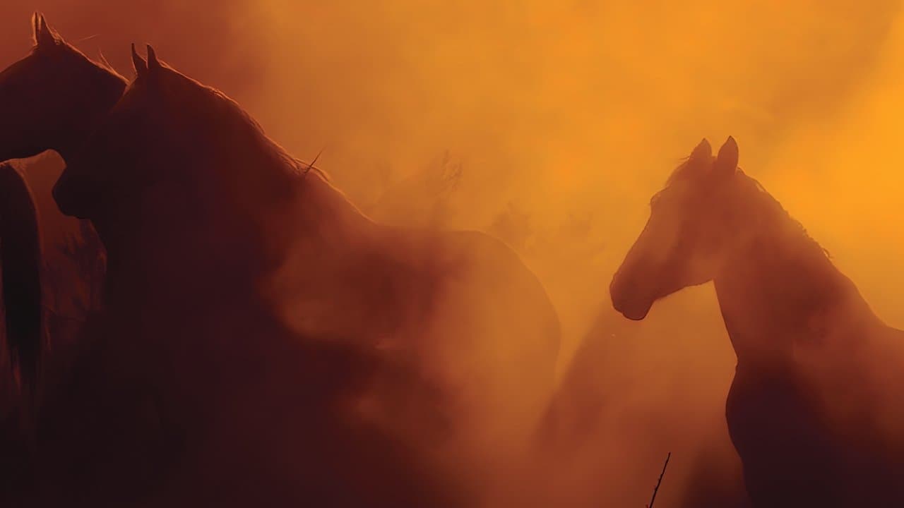 Backdrop – Free Spirit - Mustangs in Gefahr