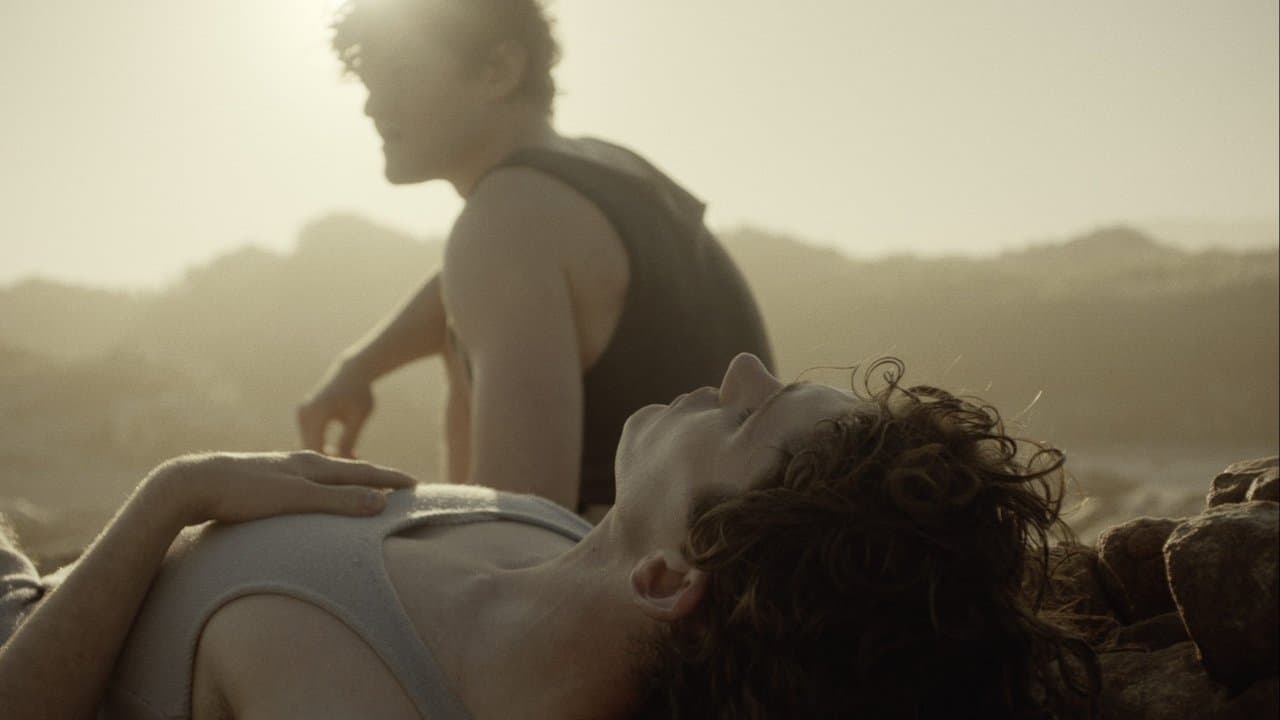 Backdrop – Lilies Not for Me