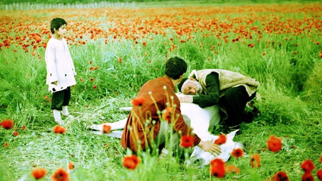 Backdrop – Baum der Wünsche