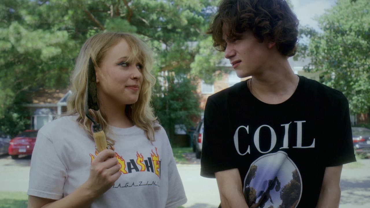 Backdrop – Killed the Pussy