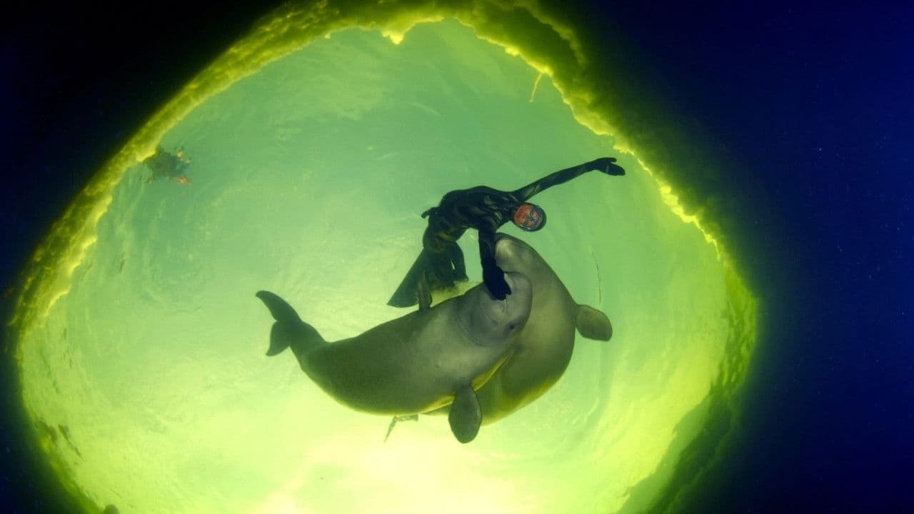 Backdrop – Born to Be Free