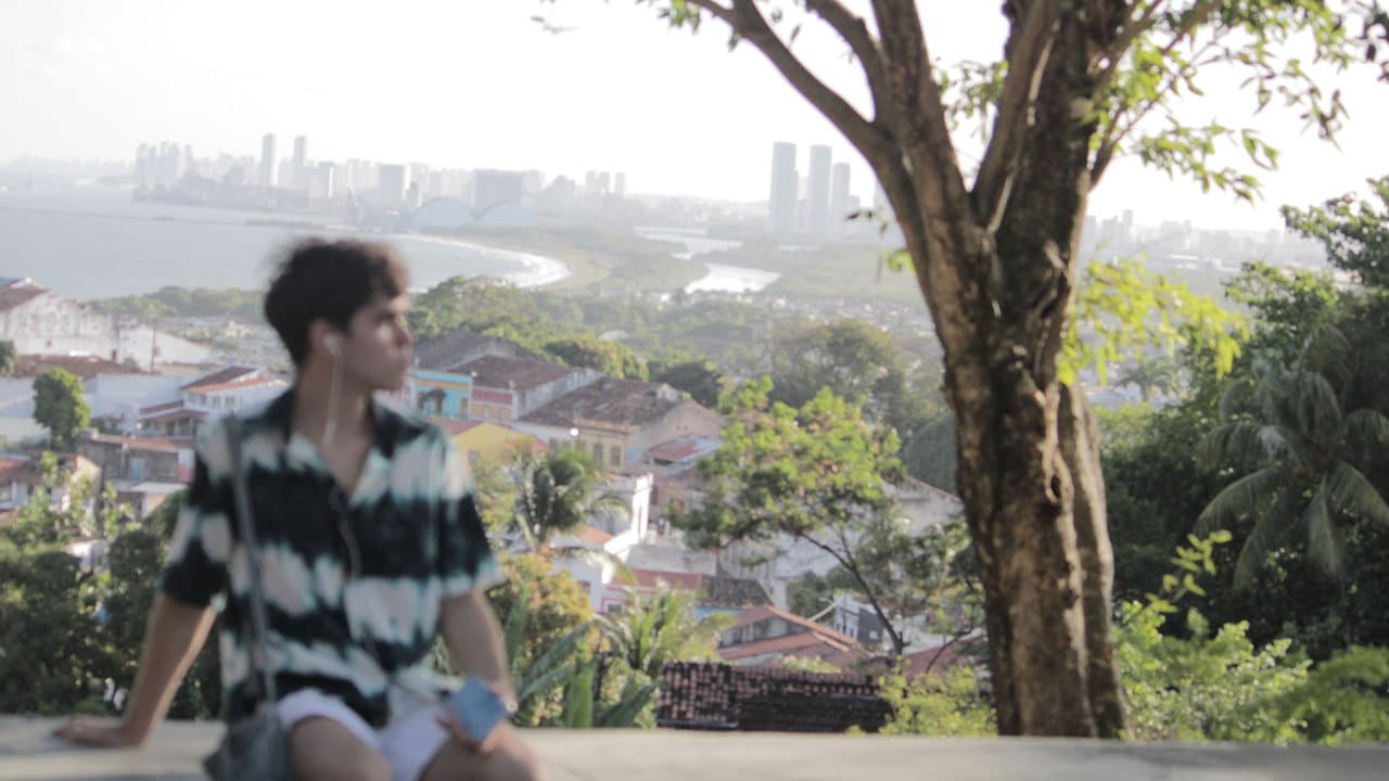 Backdrop – Por do Sol