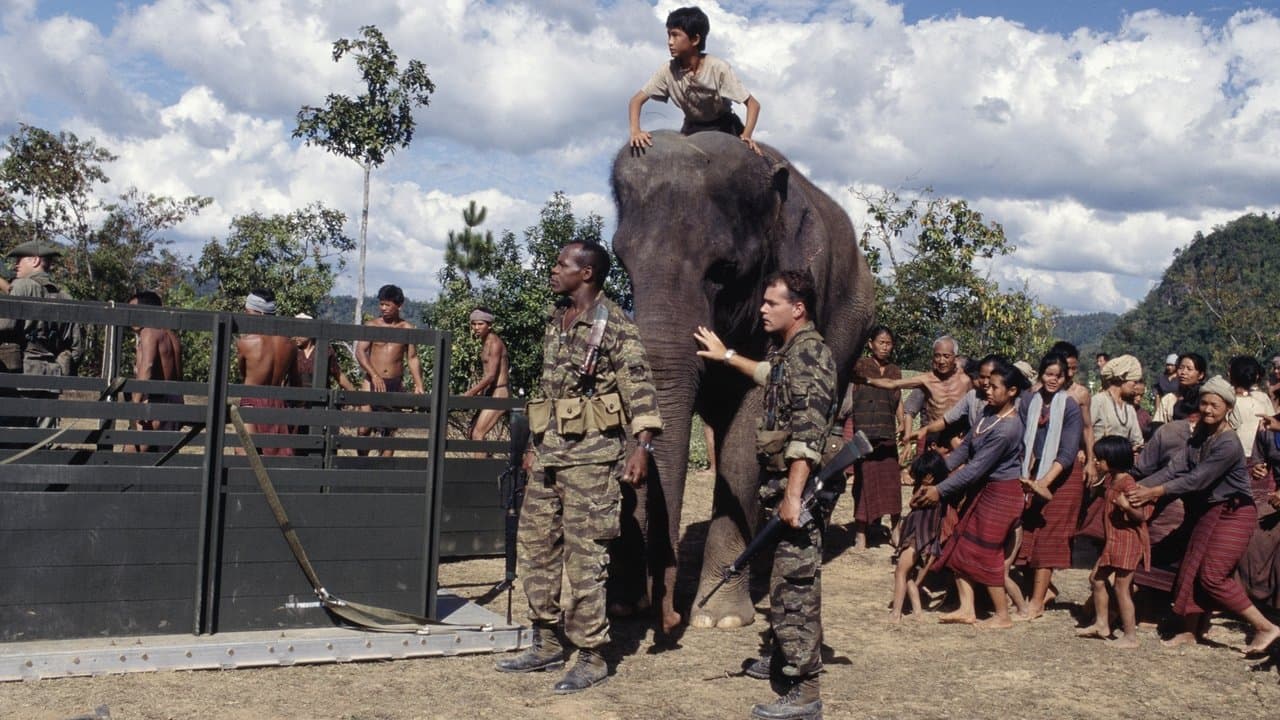 Backdrop – Operation Dumbo