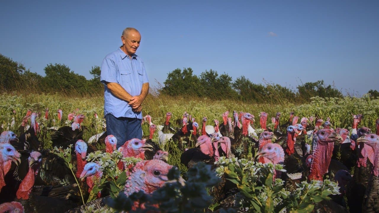 Backdrop – Eating Animals