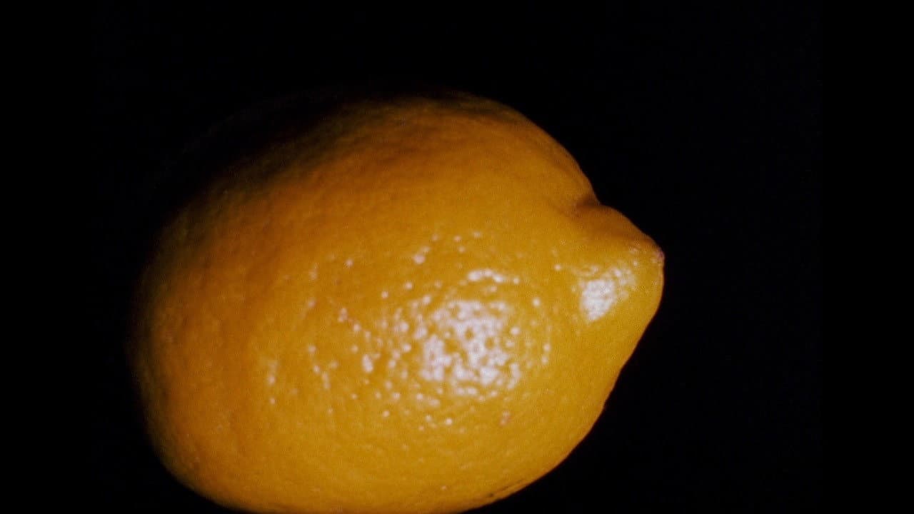 Backdrop – Lemon