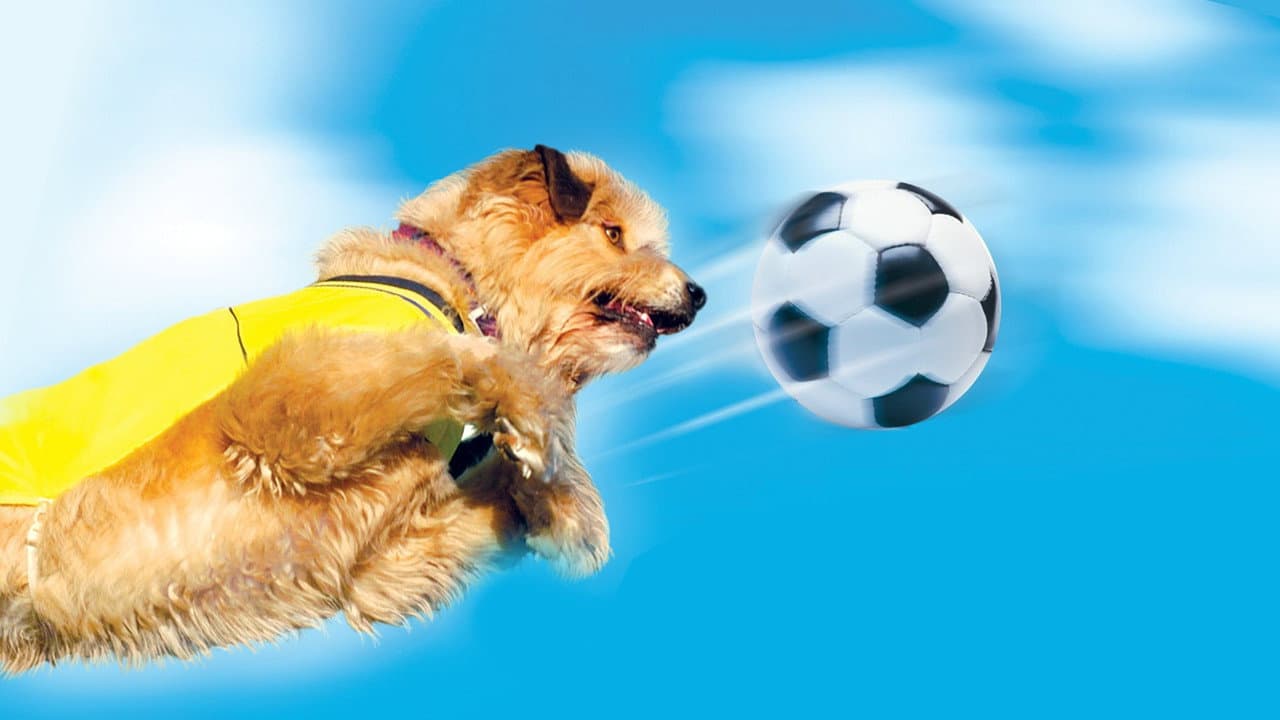 Backdrop – Soccer Dog: European Cup