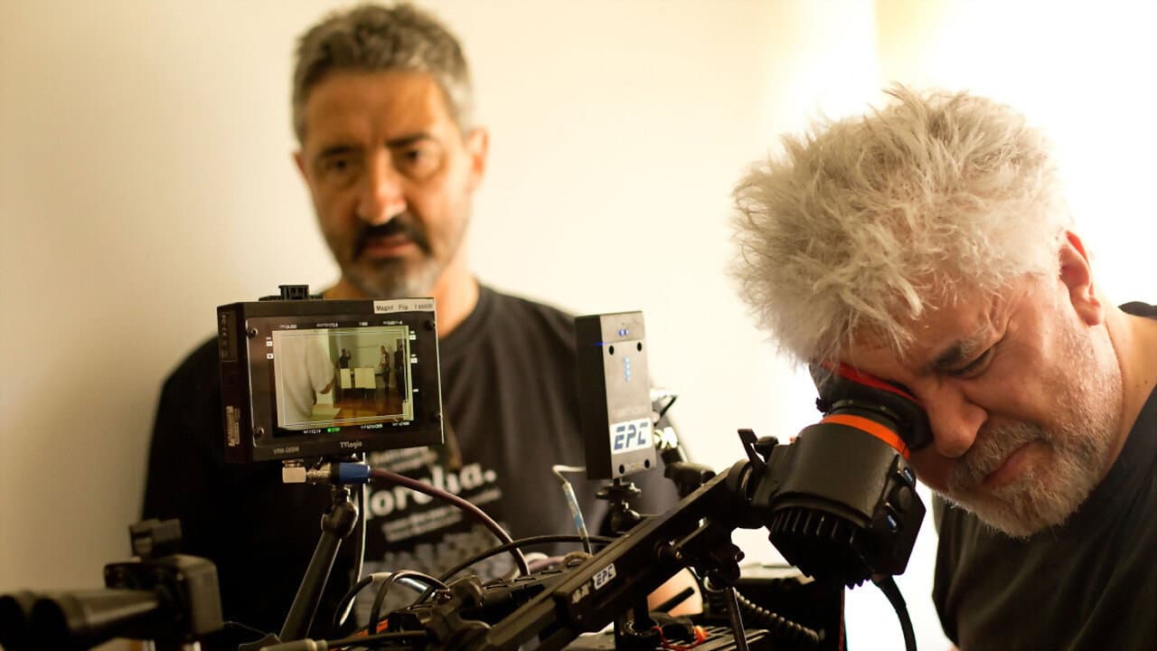 Backdrop – Almodóvar, l'insolent de la Mancha