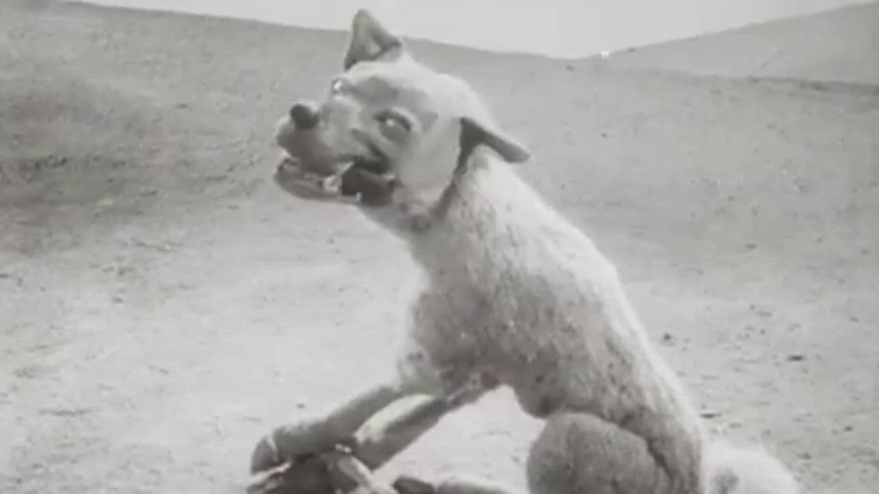 Backdrop – Волк и журавль