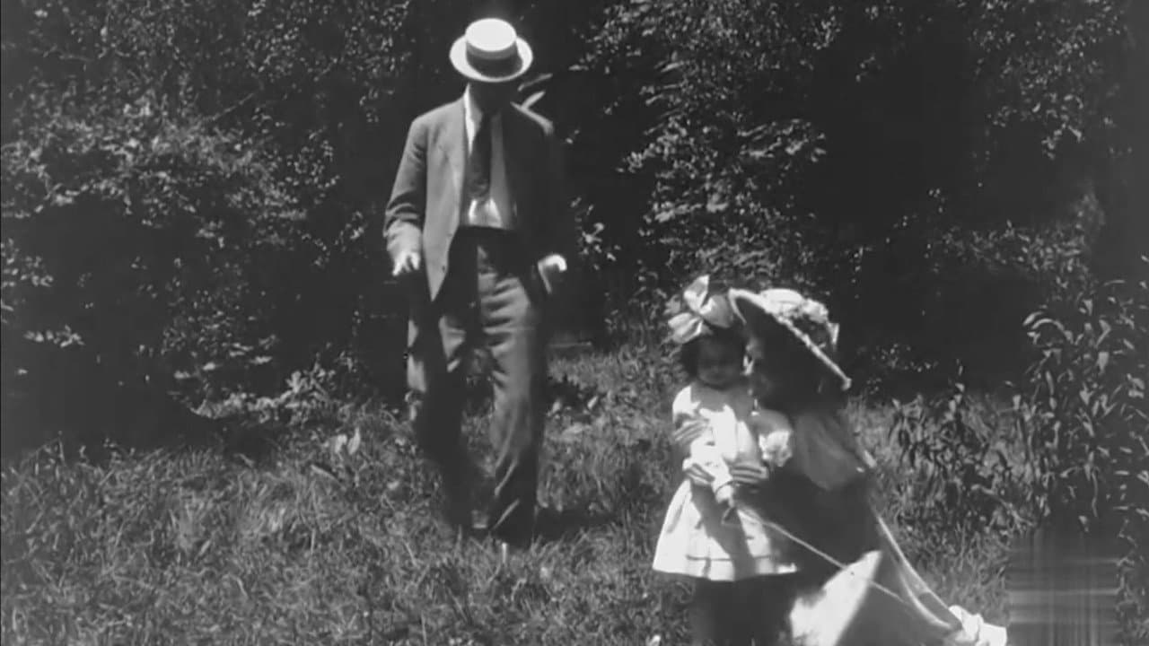 Backdrop – The Adventures of Dollie