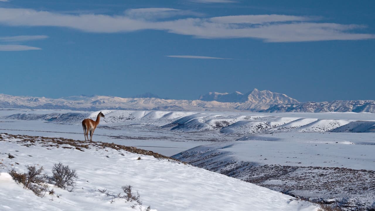 Backdrop – Unfenced