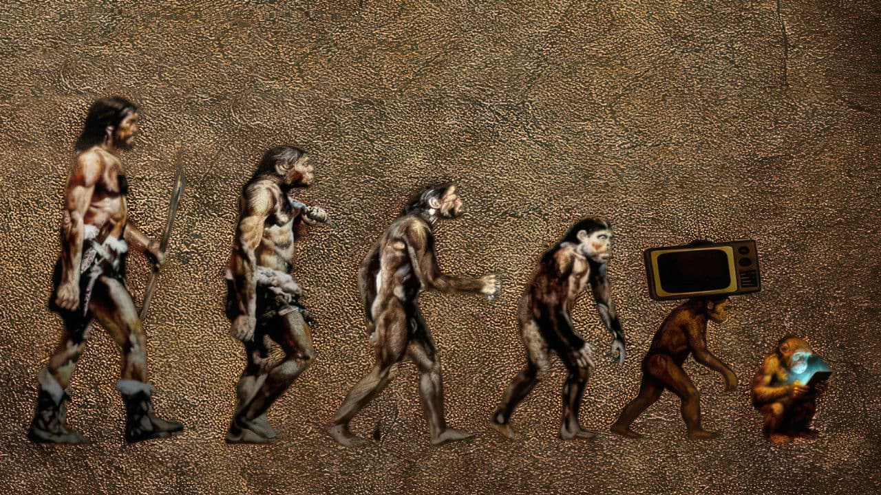 Backdrop – انسان‌نماها