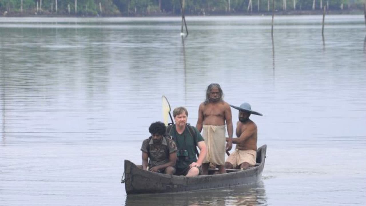 Backdrop – Papilio Buddha