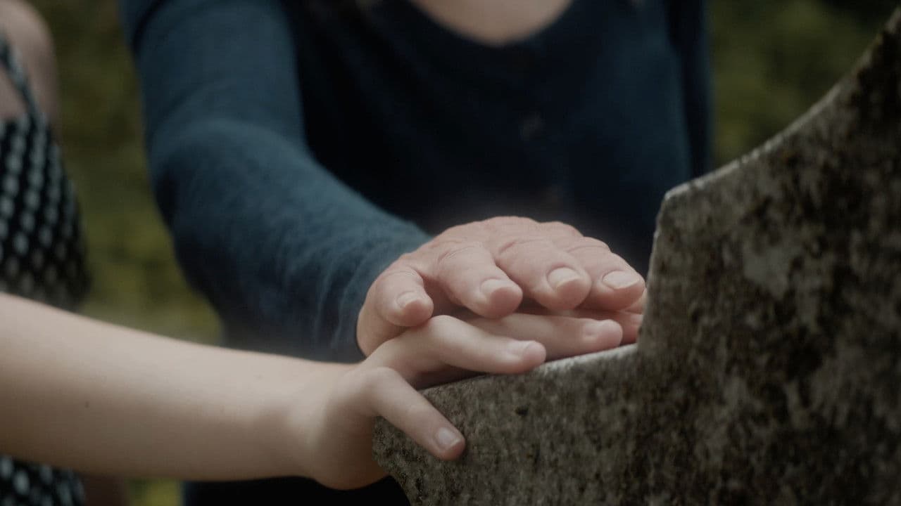 Backdrop – Regression