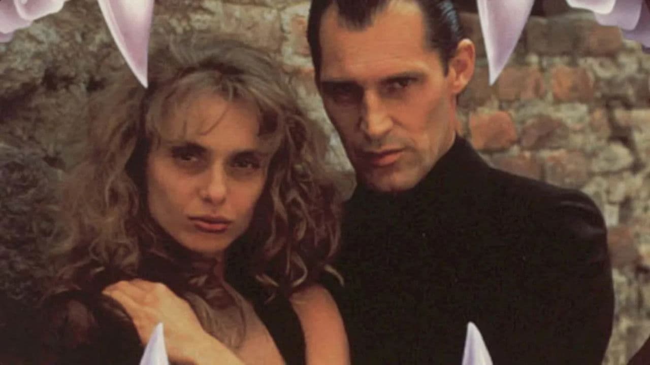 Backdrop – Nightlife