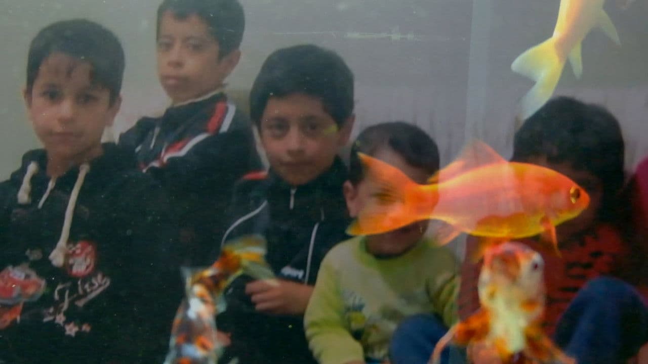 Backdrop – Immer wieder zurückkehren