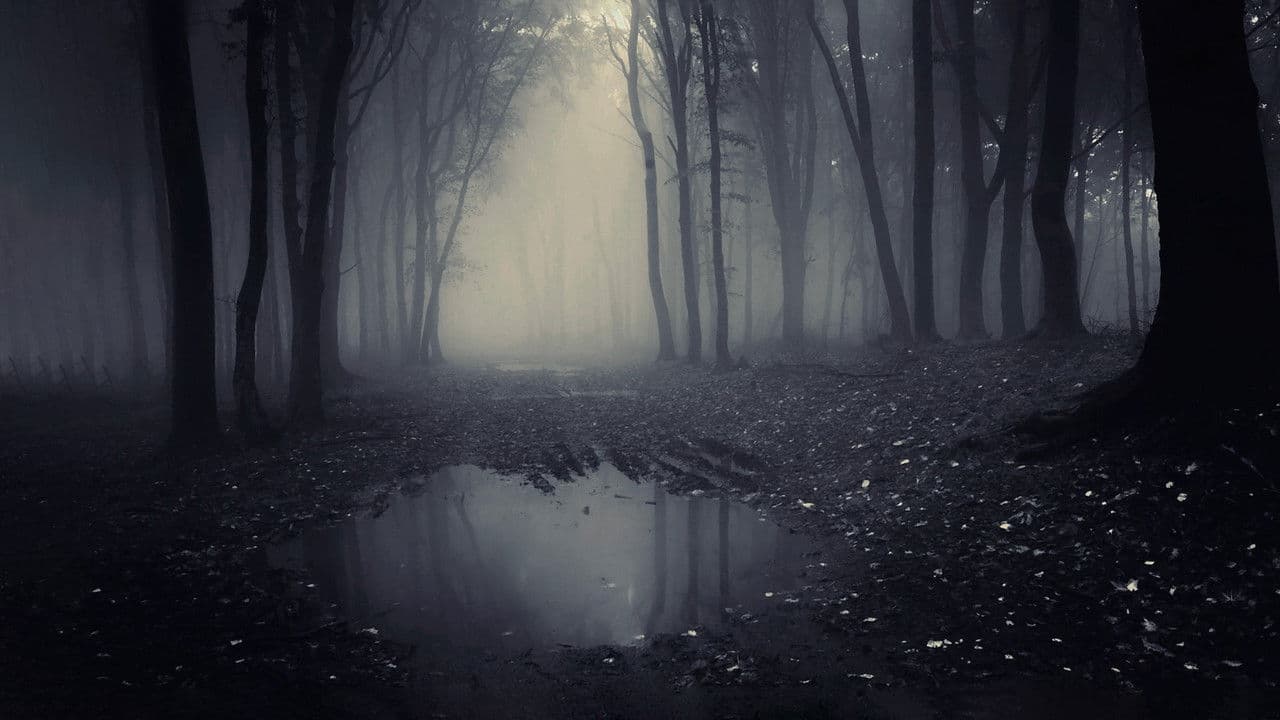 Backdrop – A Lenda do Homem Pássaro