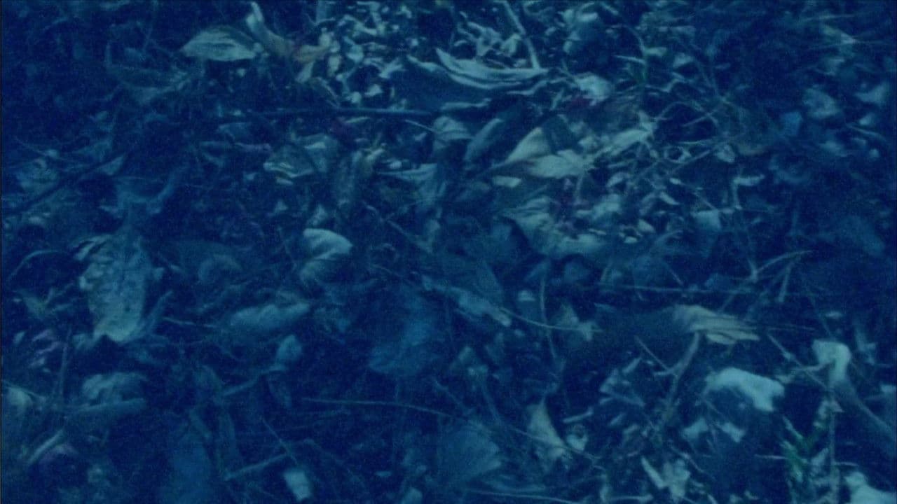 Backdrop – 표면 기억 망각