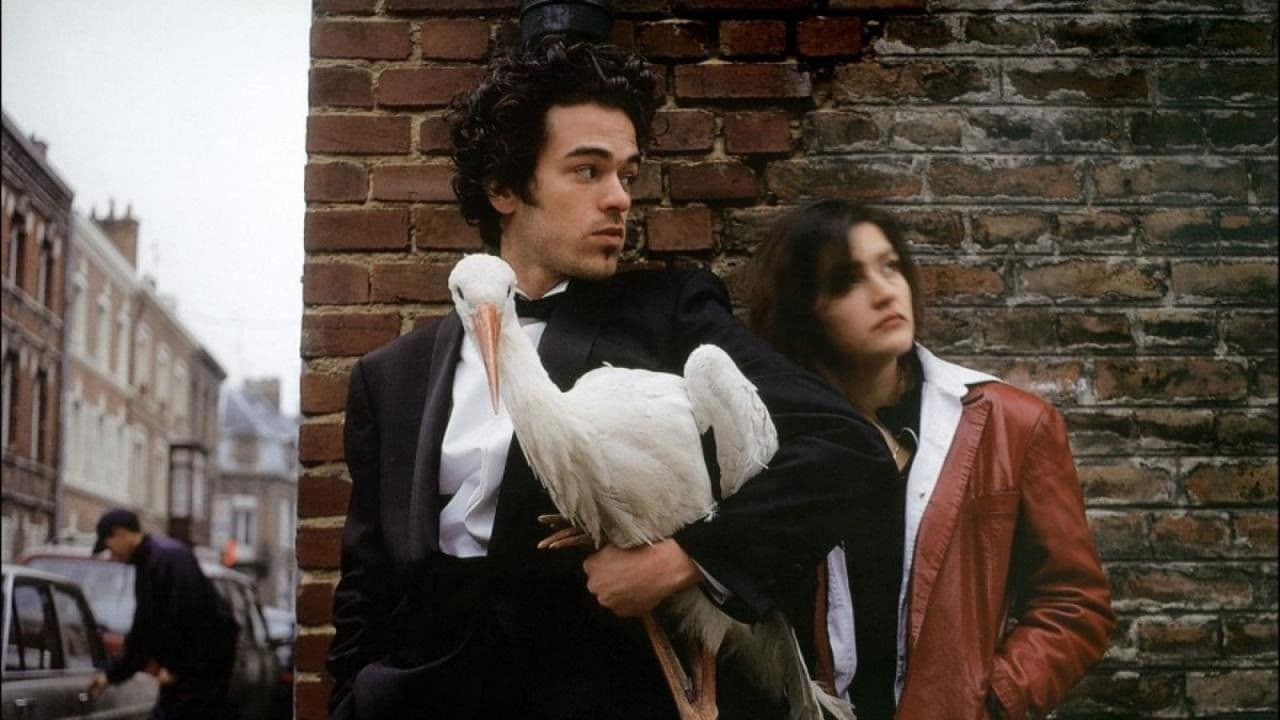 Backdrop – Je suis né d'une cigogne