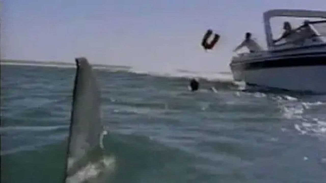 Backdrop – Shark Commando