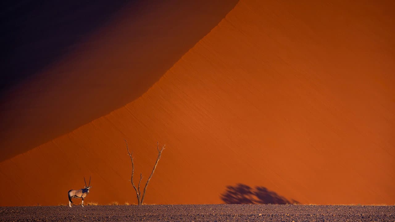 Backdrop – Namibie : exceptionnelle par nature