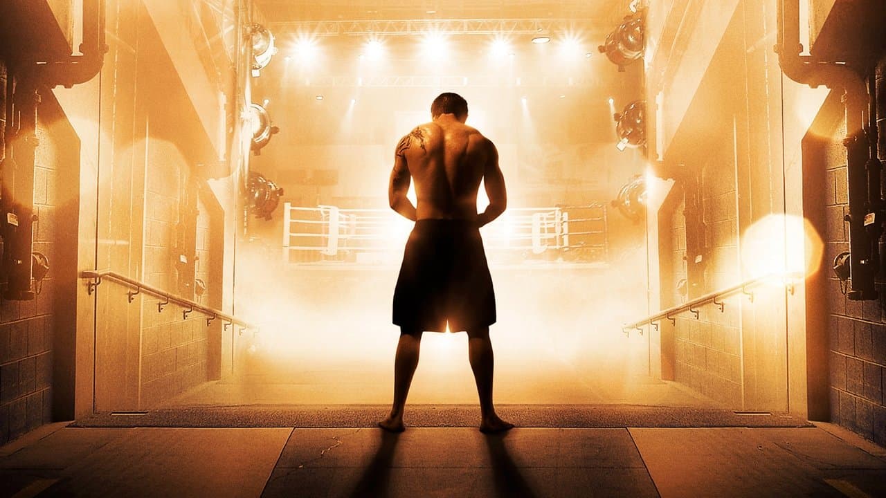 Backdrop – Warrior