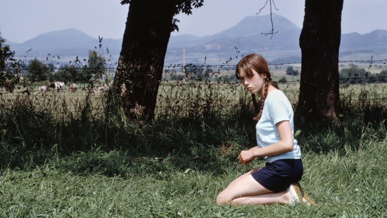 Backdrop – Blacky - Abenteuer eines Ausreißers