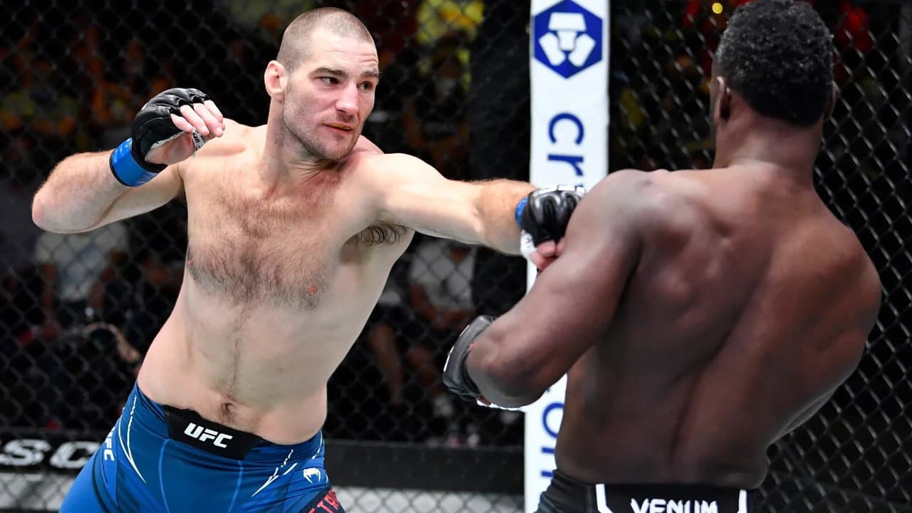 Backdrop – UFC 47: It's On!