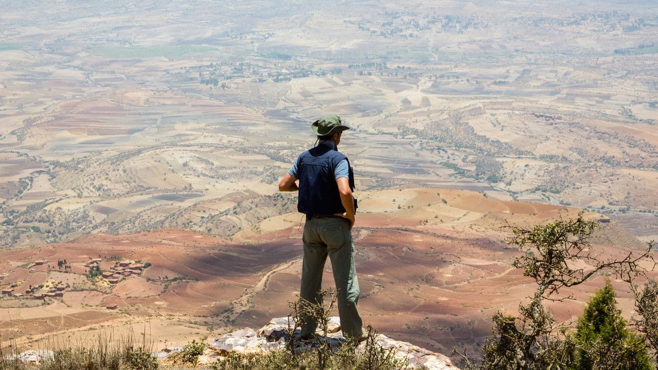 Backdrop – If Only I Were That Warrior