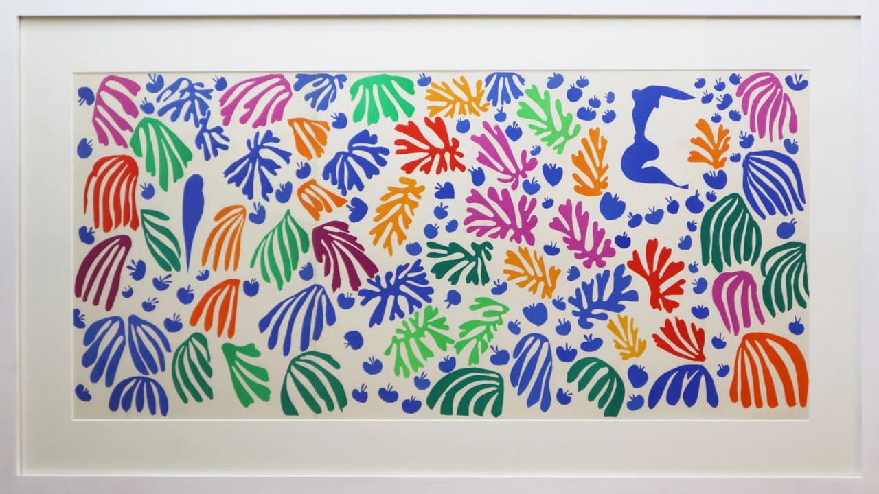 Backdrop – Becoming Matisse