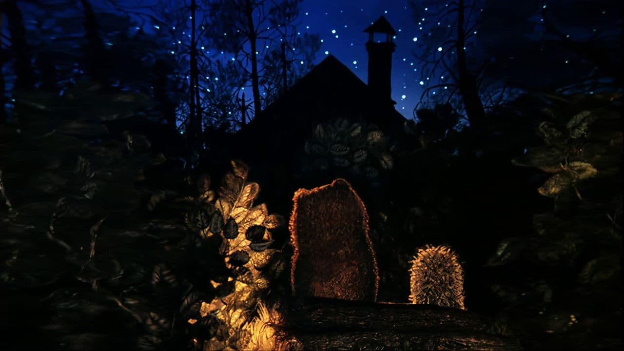 Backdrop – Der Igel im Nebel