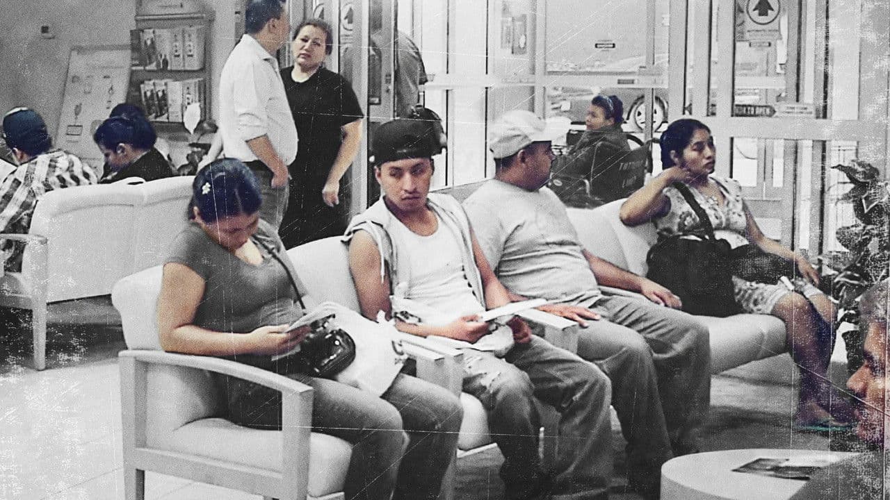 Backdrop – Clínica de Migrantes: Life, Liberty, and the Pursuit of Happiness