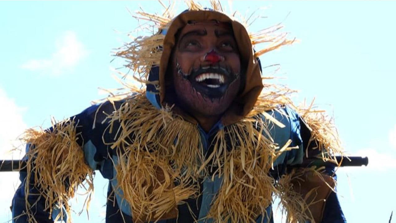 Backdrop – The Wizard 20Twenty