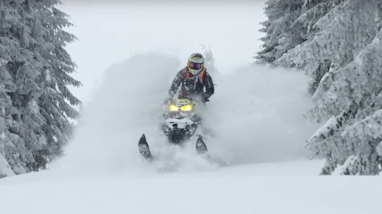 Backdrop – Exploring The Snow - The Final Volume