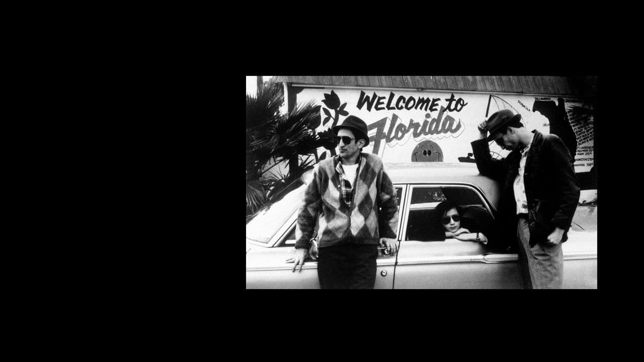Backdrop – Stranger Than Paradise