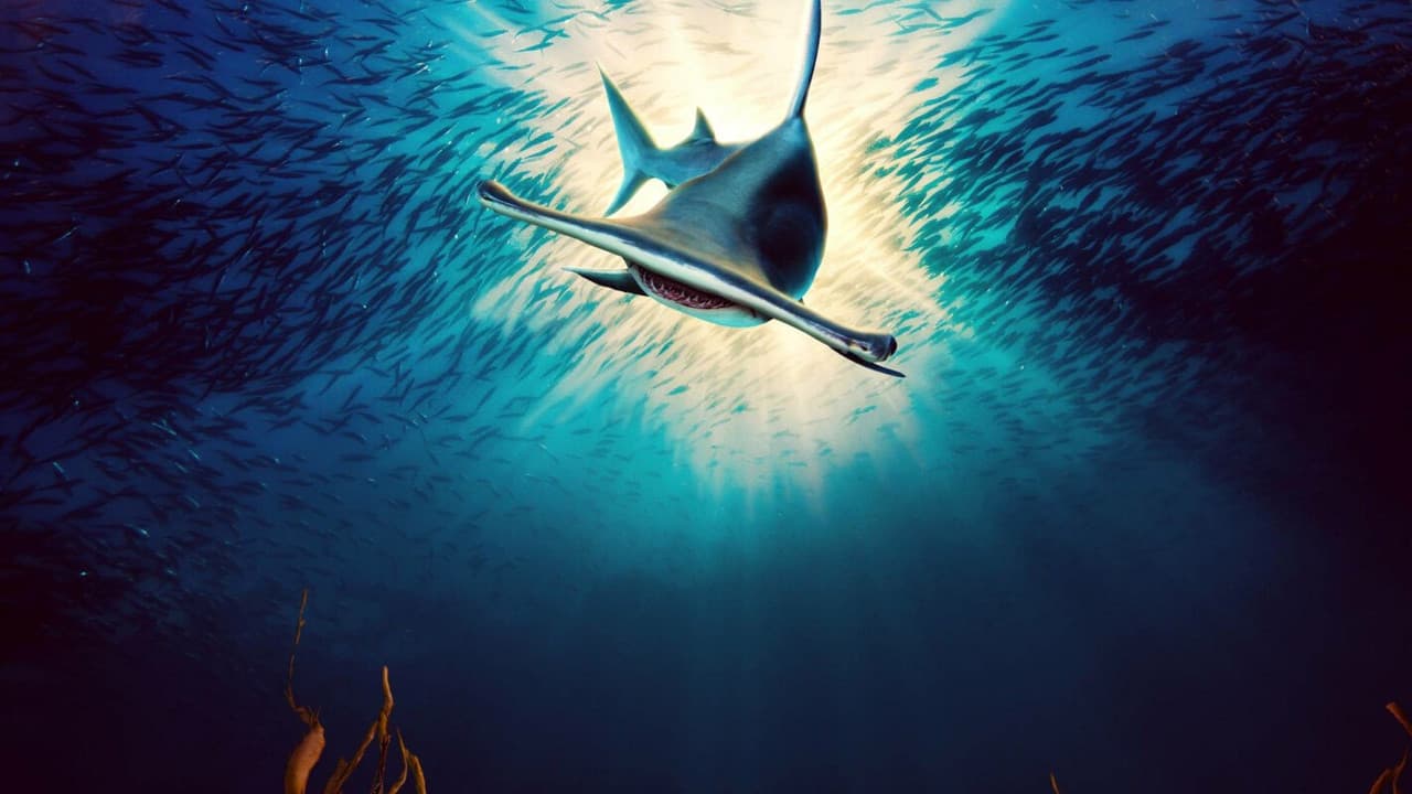 Backdrop – Monster Hammerheads: Killer Instinct