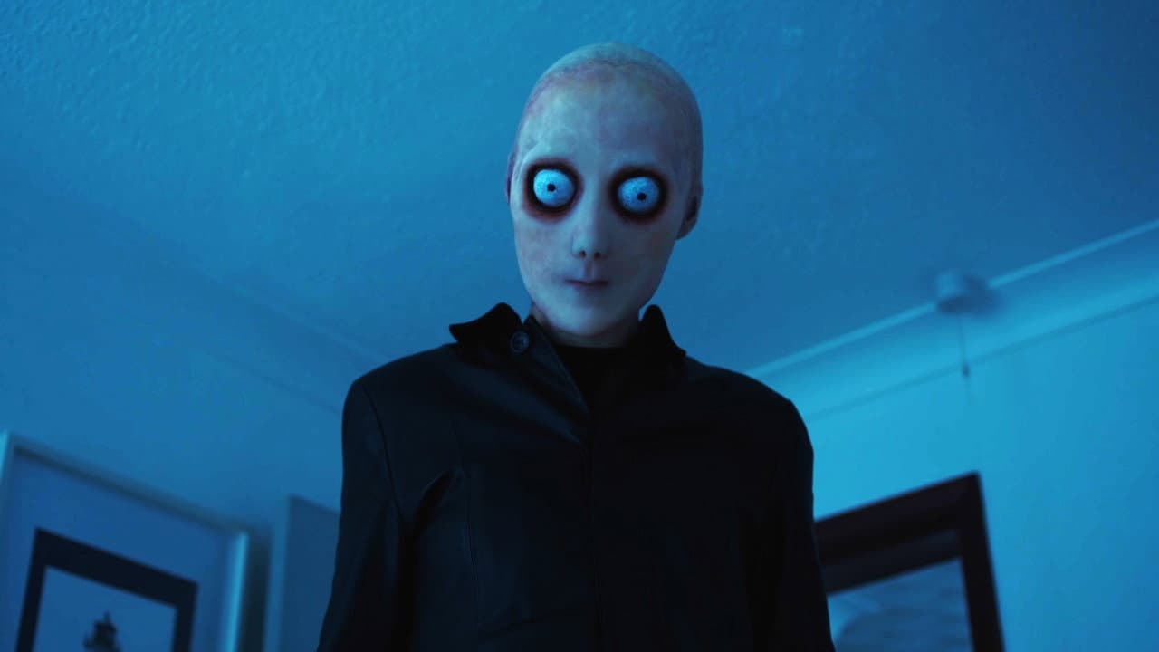 Backdrop – Guest