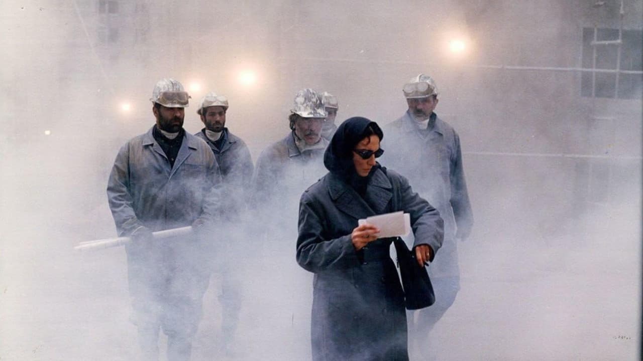 Backdrop – سگ کشی