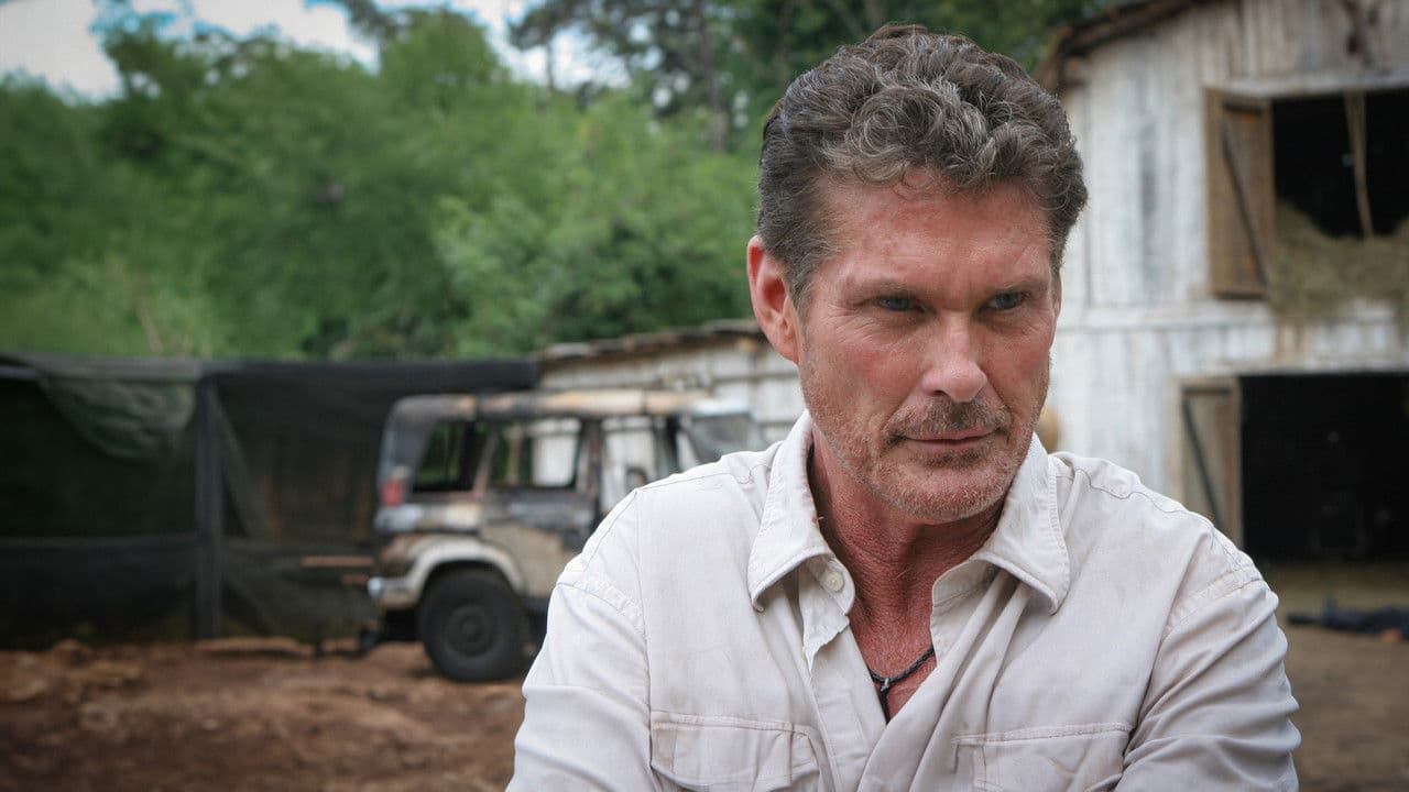 Backdrop – Anaconda - Offspring