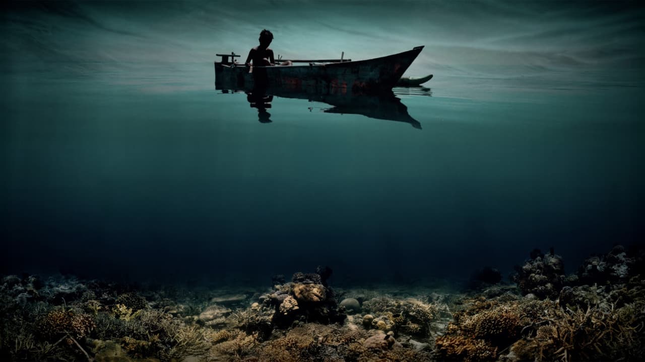 Backdrop – Reef Builders