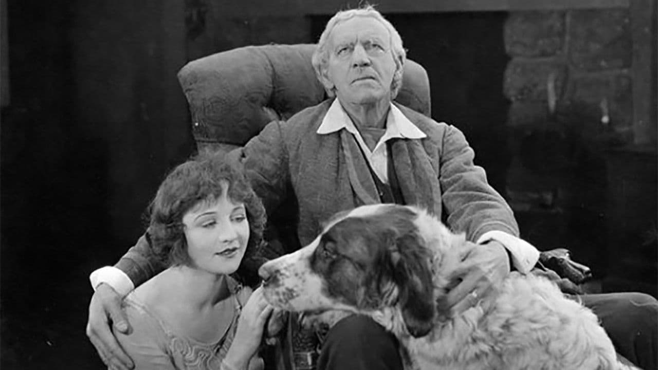 Backdrop – The Miracle Man